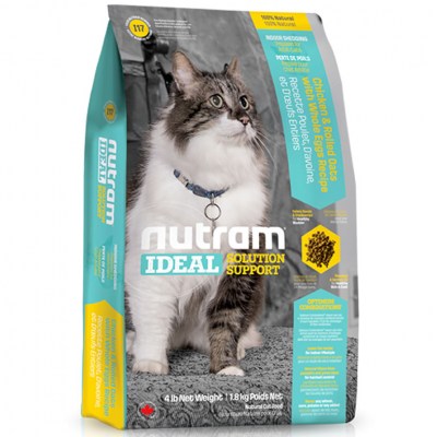 i17-nutram-ideal-indoor-cat