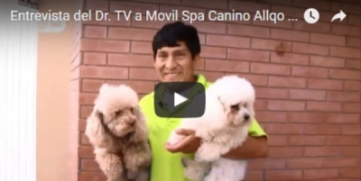 Entrevista del Dr. TV a Movil Spa Canino Allqo Wasi